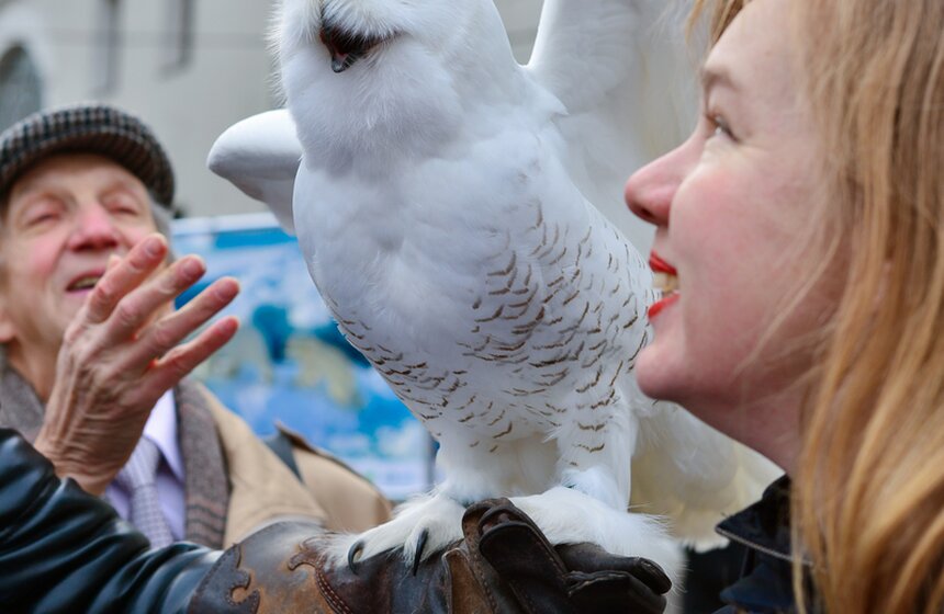 В Москве прошли Дни Арктики 13 фото