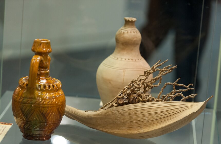 Выставка "Корабль пустыни" на ВДНХ 20 фото