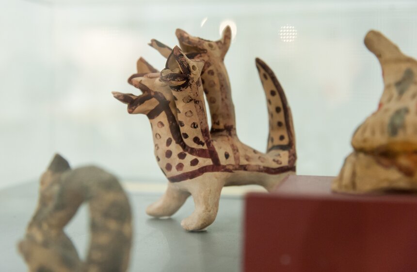 Выставка "Корабль пустыни" на ВДНХ 21 фото