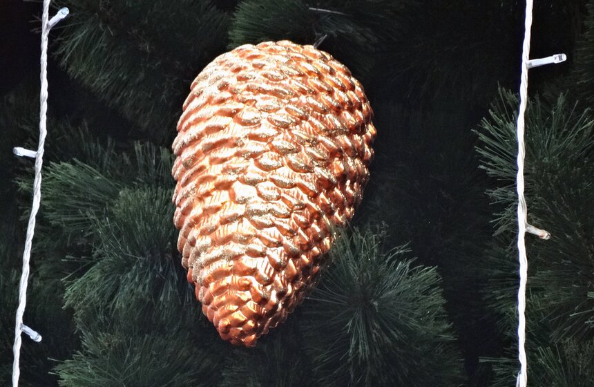 И вот она нарядная: по всему городу поставили елки к Новому году 12 фото