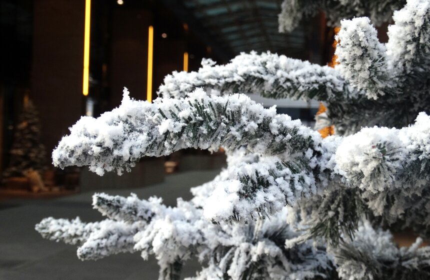 И вот она нарядная: по всему городу поставили елки к Новому году 7 фото