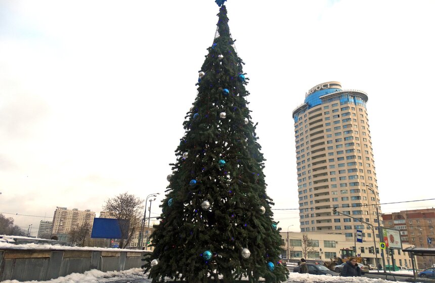 И вот она нарядная: по всему городу поставили елки к Новому году 9 фото