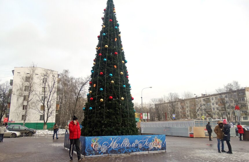 И вот она нарядная: по всему городу поставили елки к Новому году 11 фото