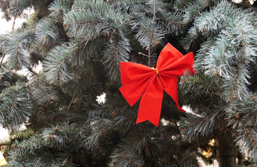 И вот она нарядная: по всему городу поставили елки к Новому году 15 фото