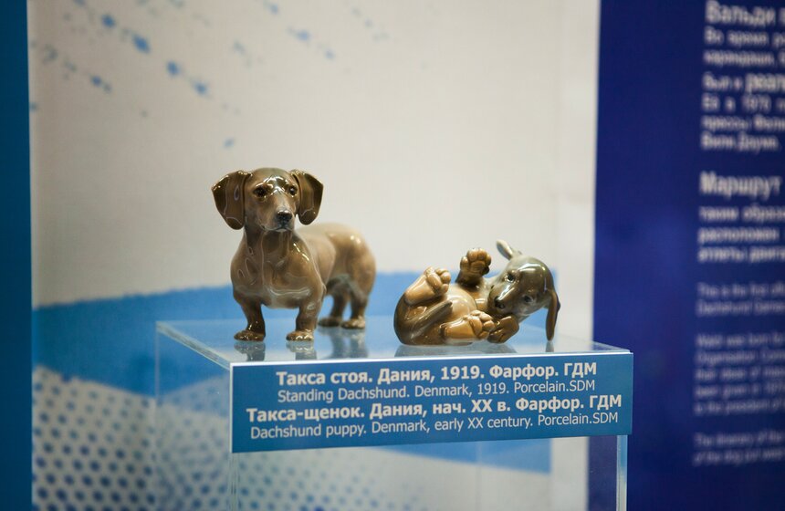 Выставка талисманов Олимпийских игр в Дарвиновском музее 7 фото