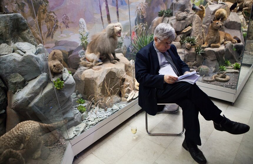 Выставка талисманов Олимпийских игр в Дарвиновском музее 10 фото