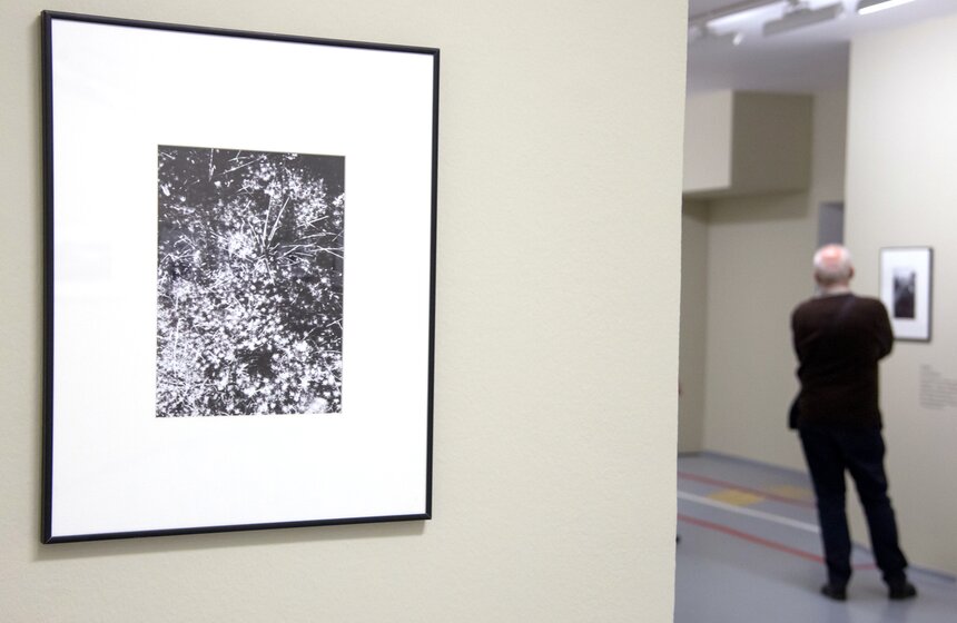 Выставка "Михаил Пришвин. Фотографии и дневники" в МАММ 12 фото