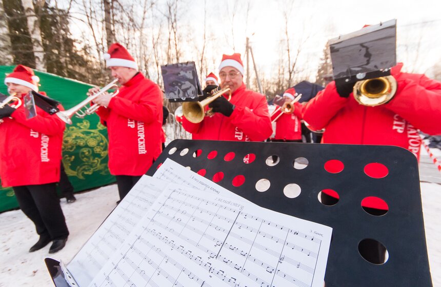 В Подмосковье срубили главную новогоднюю елку страны 3 фото