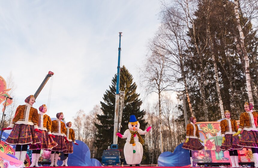 В Подмосковье срубили главную новогоднюю елку страны 9 фото