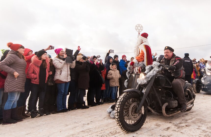 В Подмосковье срубили главную новогоднюю елку страны 10 фото