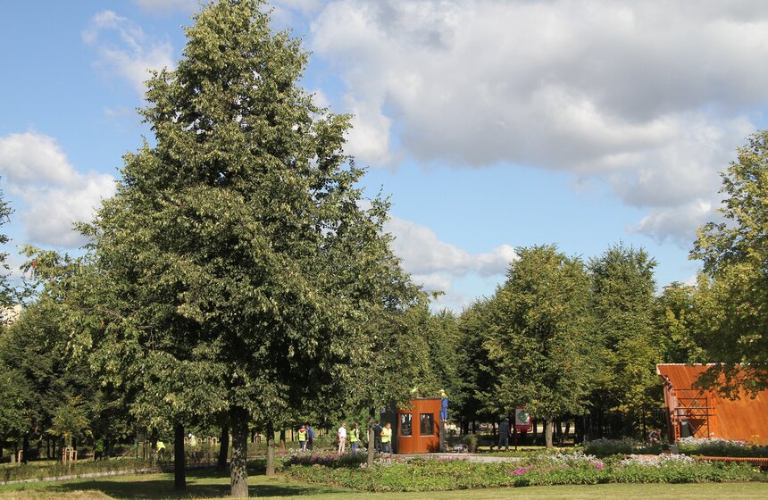 Мэр осмотрел ход благоустройства парка в Олимпийской деревне 1 фото