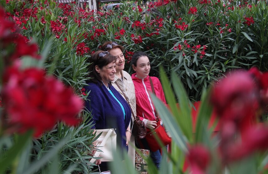 В столице испекли гигантскую шарлотку 3 фото