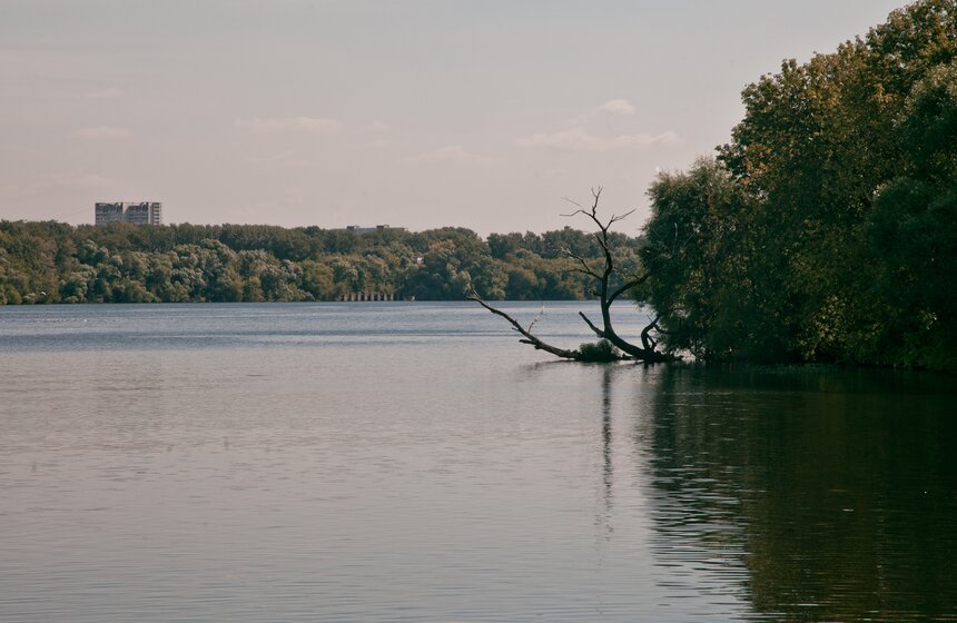 Прогулки по Москве-реке: Спокойное течение юга 41 фото