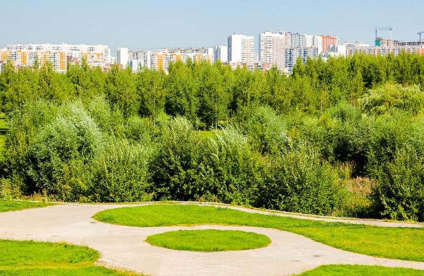 "Цветущий парк": лето в ландшафтном парке "Митино" 6 фото