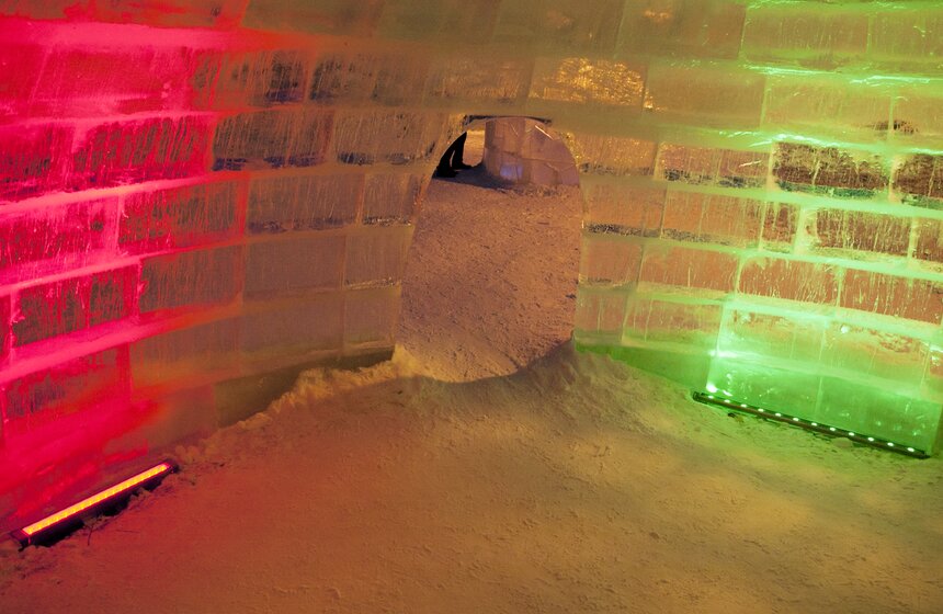 Арт-галерея "Звезды изо льда" открылась в парке "Сокольники" 16 фото