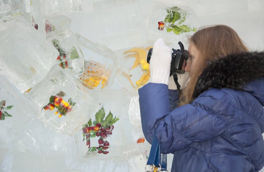 Арт-галерея "Звезды изо льда" открылась в парке "Сокольники" 10 фото