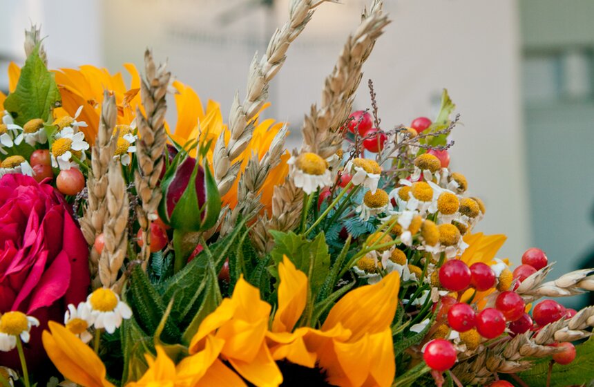 Полозкова, Зыкина и SHOO: как прошел фестиваль SOЛOMA от m24.ru 2 фото