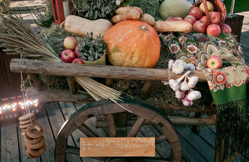 Полозкова, Зыкина и SHOO: как прошел фестиваль SOЛOMA от m24.ru 1 фото