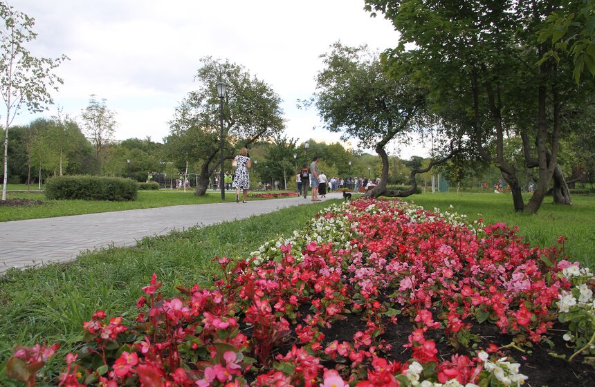 Сергей Собянин осмотрел народный парк в Конькове 14 фото