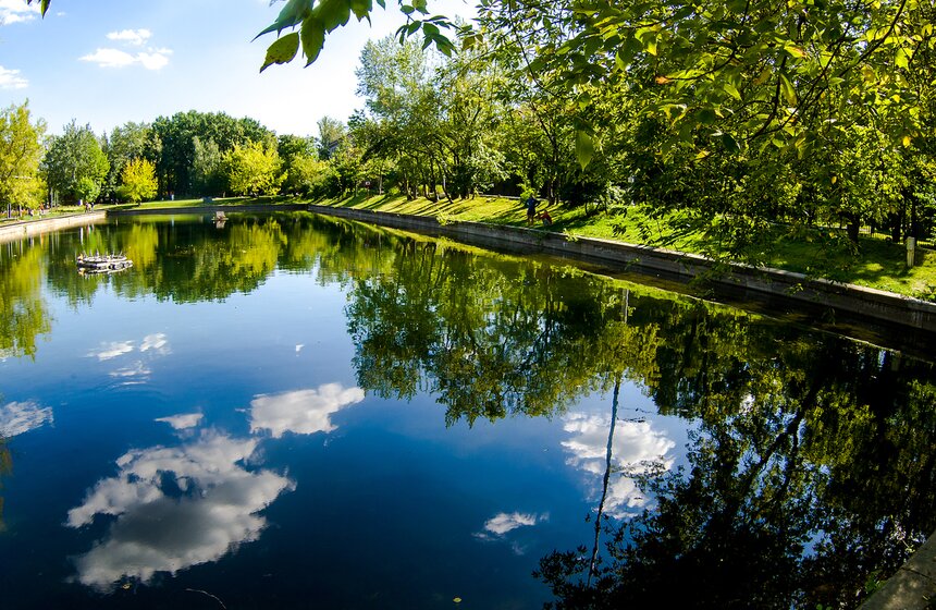 "Цветущий парк": лето в Гончаровском парке 11 фото