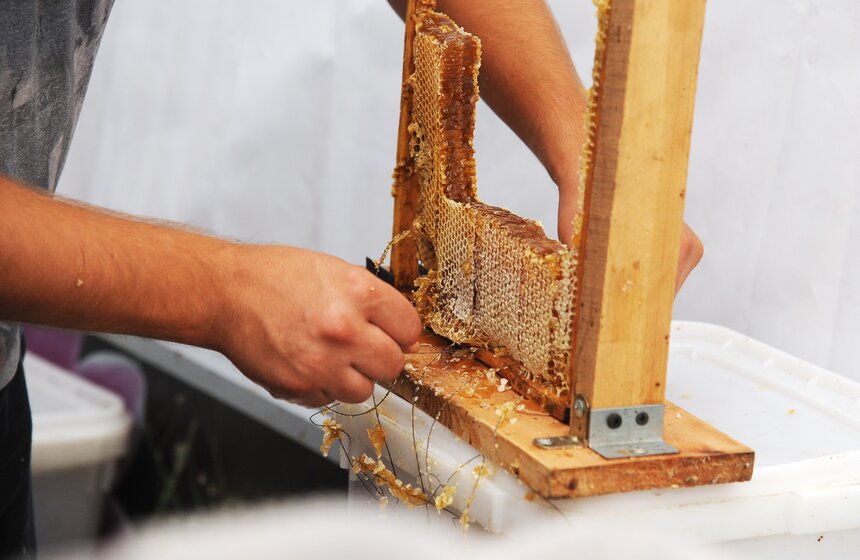 В Коломенском открылась Всероссийская ярмарка меда 6 фото