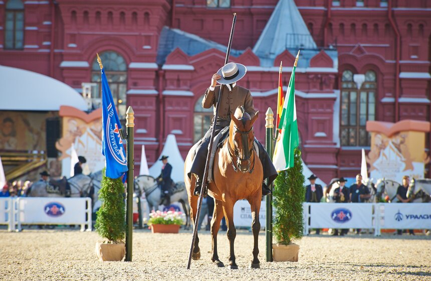 День лошади на фестивале "Спасская башня" 8 фото