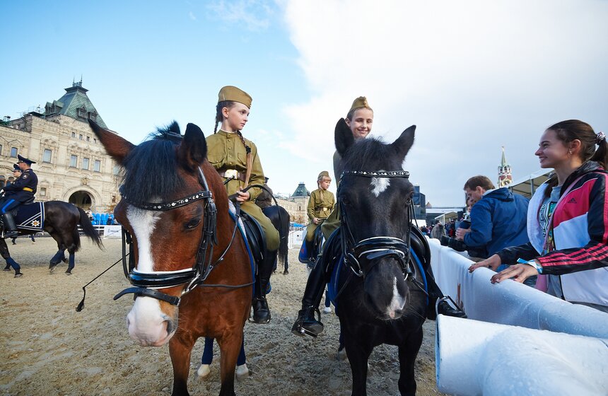 День лошади на фестивале "Спасская башня" 7 фото