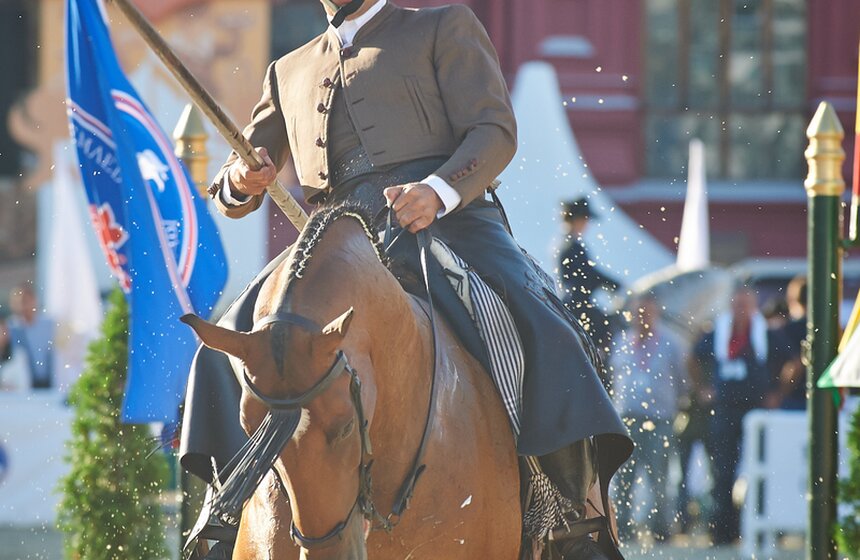 День лошади на фестивале "Спасская башня" 10 фото