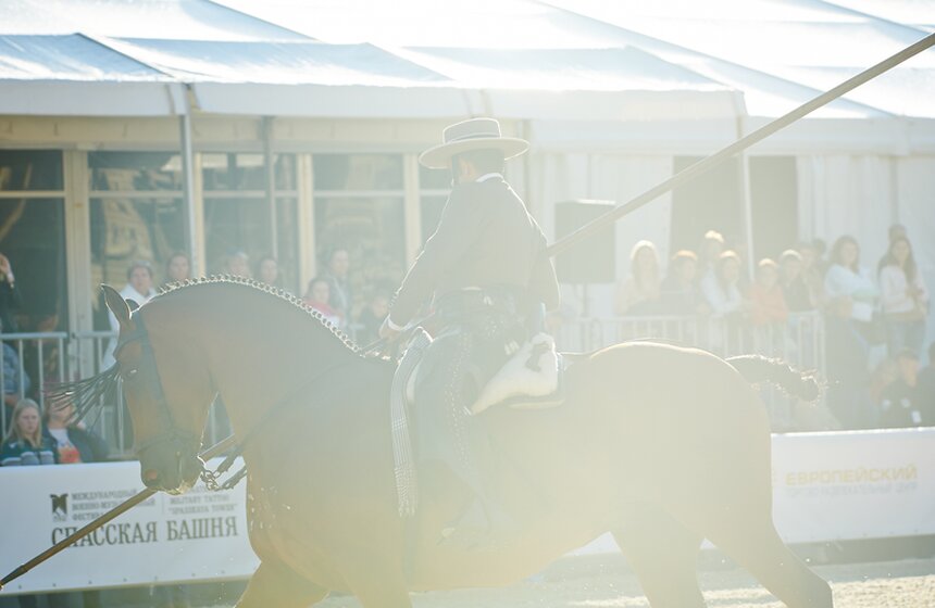 День лошади на фестивале "Спасская башня" 9 фото