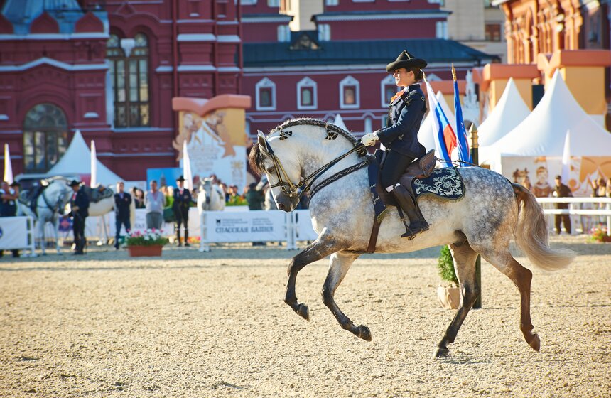 День лошади на фестивале "Спасская башня" 12 фото