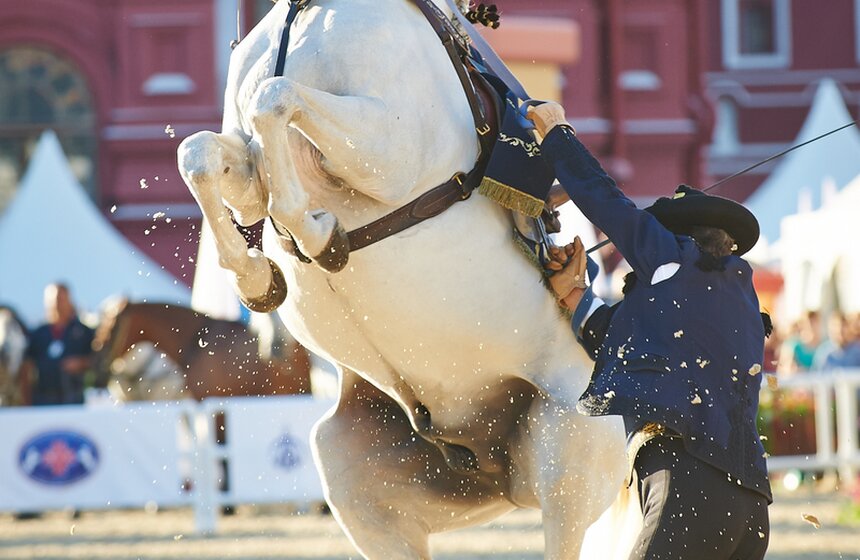 День лошади на фестивале "Спасская башня" 14 фото