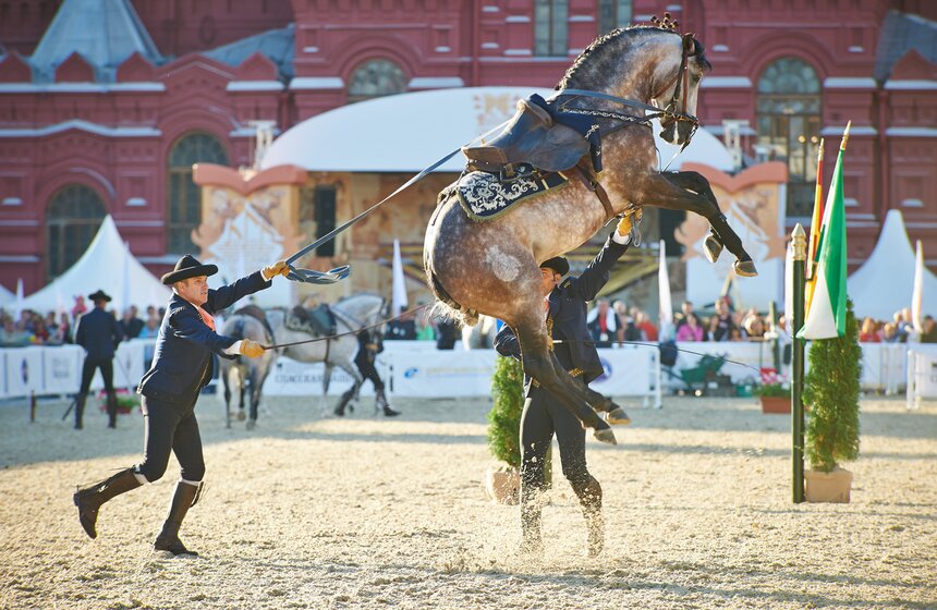 День лошади на фестивале "Спасская башня" 13 фото