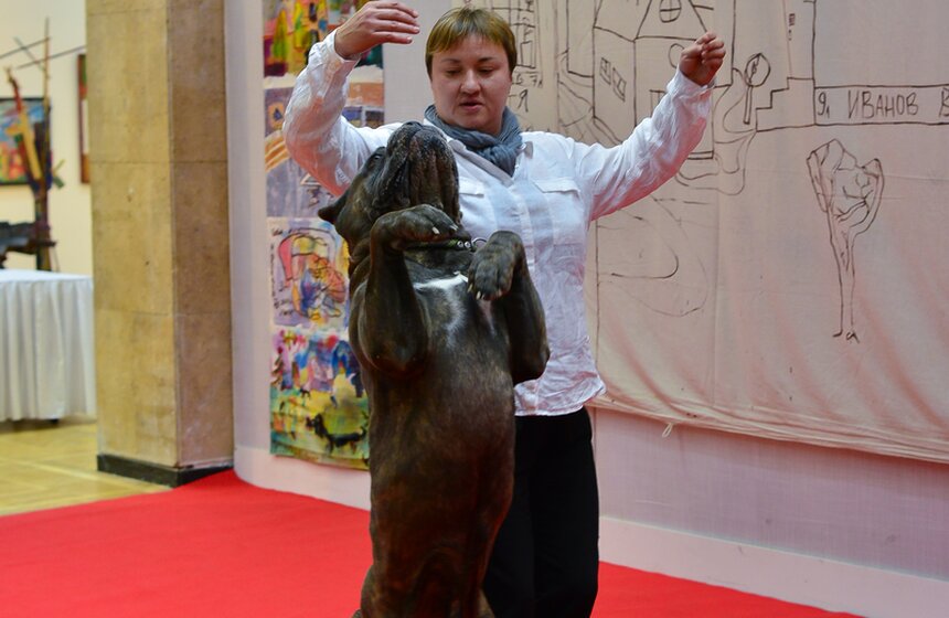 Открылась передвижная международная выставка "Учитель и Ученики" 25 фото