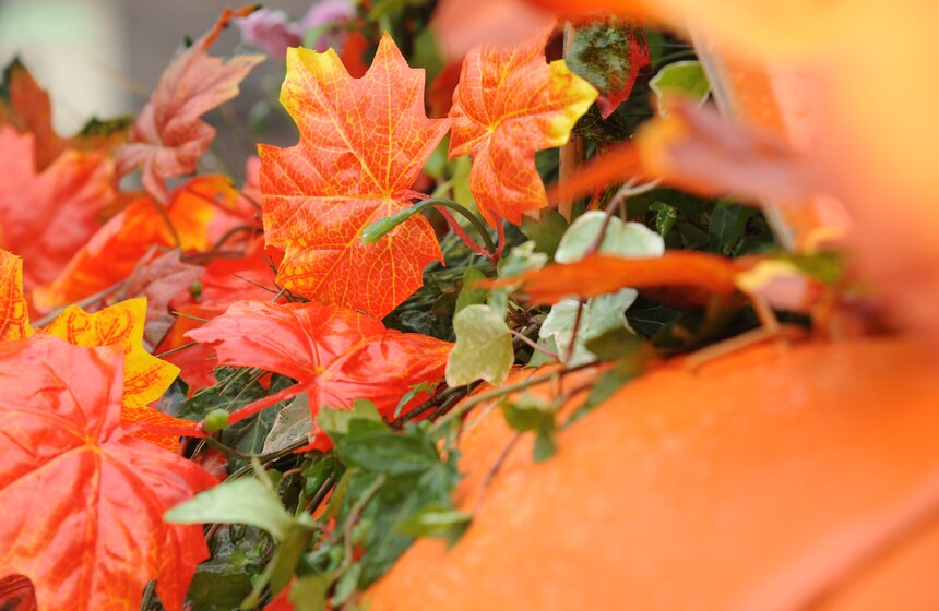 В столице открылся фестиваль "Московская осень" 2 фото
