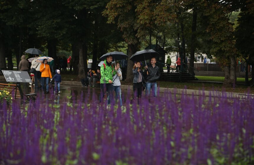 День города: квартирник и фестиваль Streetfire в парке Горького 31 фото