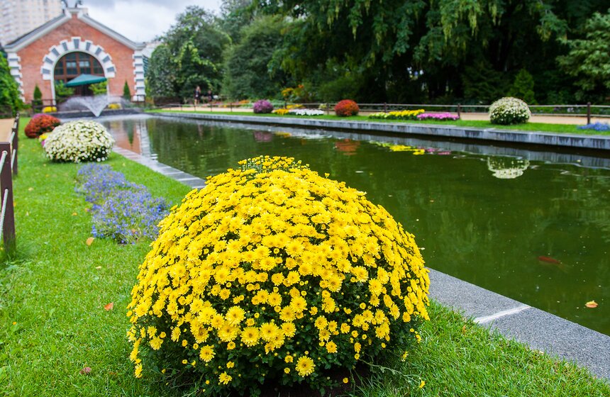 Фестиваль "Краски осени" в "Аптекарском огороде" 30 фото