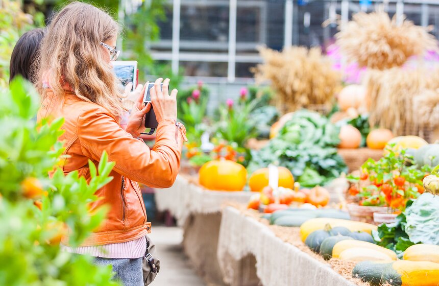 Фестиваль "Краски осени" в "Аптекарском огороде" 24 фото
