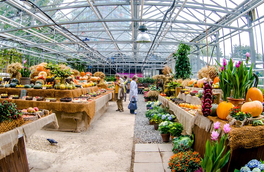 Фестиваль "Краски осени" в "Аптекарском огороде" 4 фото