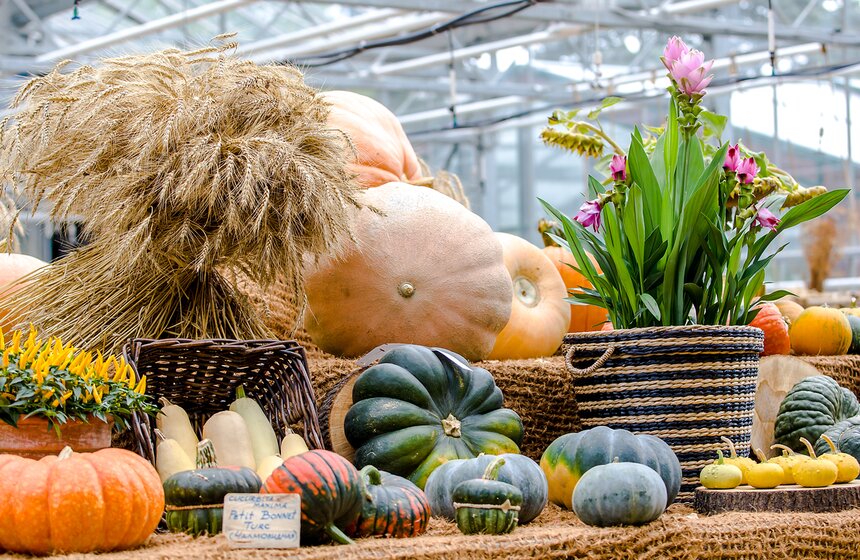 Фестиваль "Краски осени" в "Аптекарском огороде" 11 фото