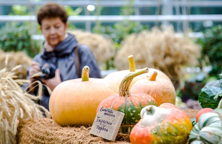 Фестиваль "Краски осени" в "Аптекарском огороде" 19 фото