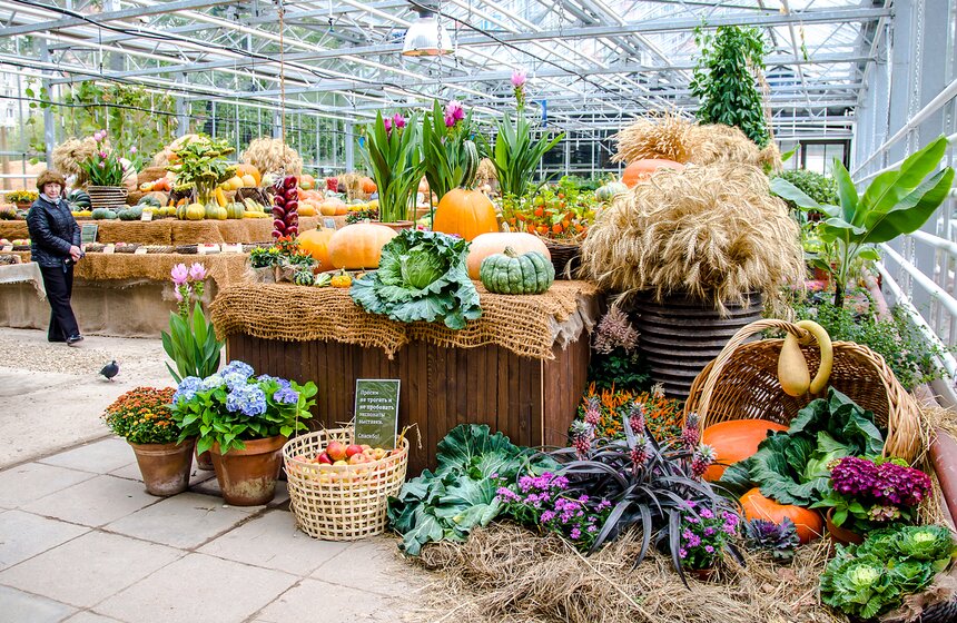 Фестиваль "Краски осени" в "Аптекарском огороде" 3 фото