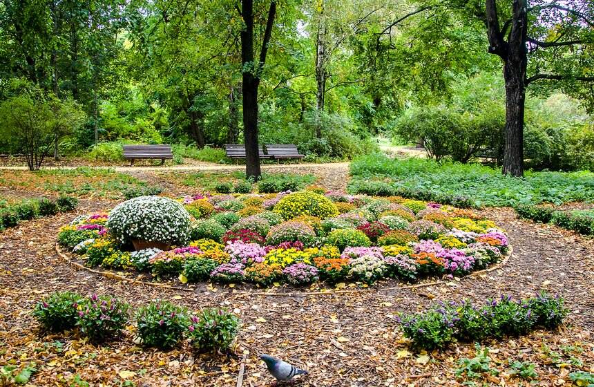 Фестиваль "Краски осени" в "Аптекарском огороде" 1 фото