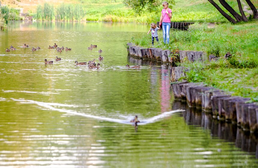 "Цветущий парк": "Аршиновский парк" 7 фото
