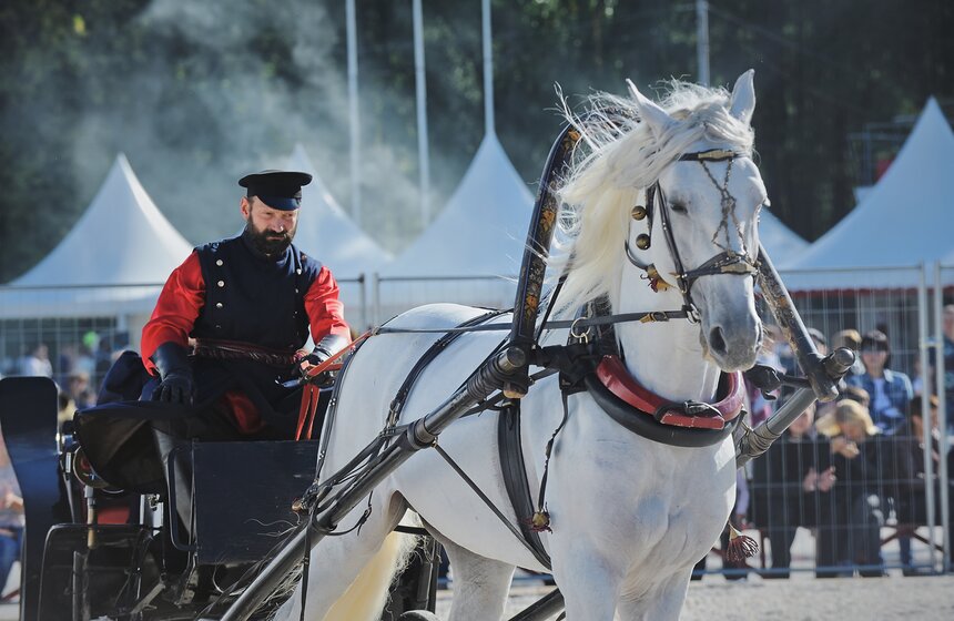 В "Сокольниках" прошел фестиваль "Россия на коне" 27 фото