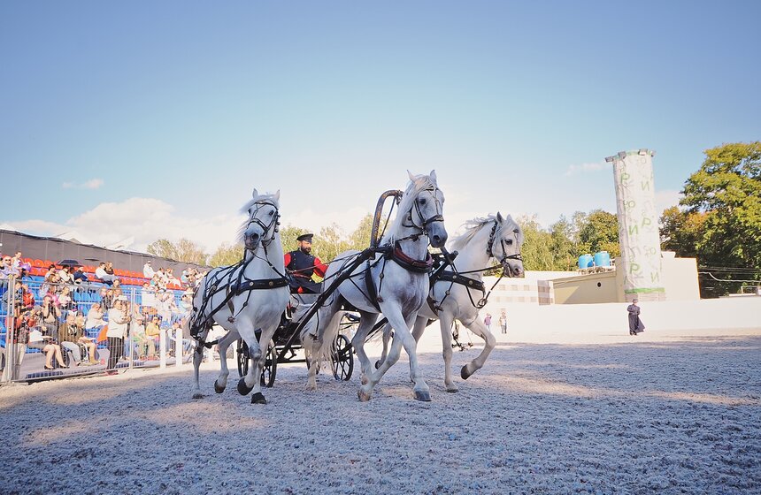 В "Сокольниках" прошел фестиваль "Россия на коне" 30 фото