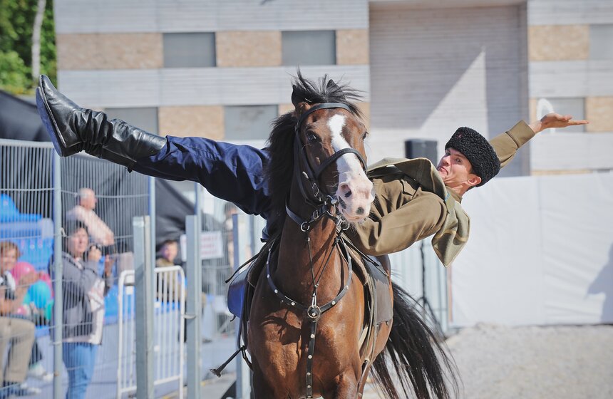 В "Сокольниках" прошел фестиваль "Россия на коне" 14 фото