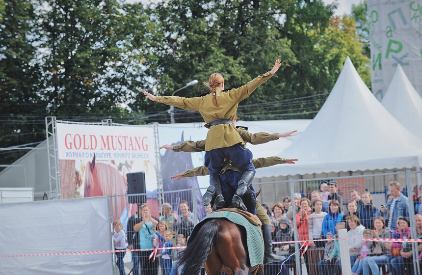 В "Сокольниках" прошел фестиваль "Россия на коне" 6 фото