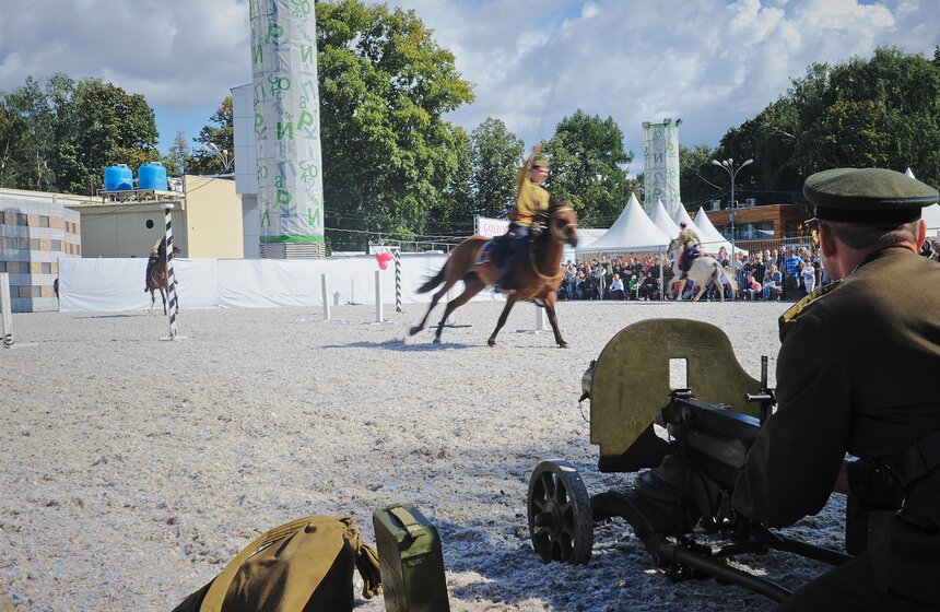 В "Сокольниках" прошел фестиваль "Россия на коне" 24 фото