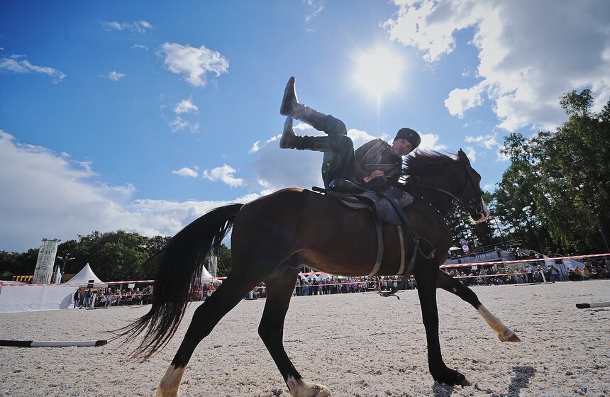 В "Сокольниках" прошел фестиваль "Россия на коне" 17 фото