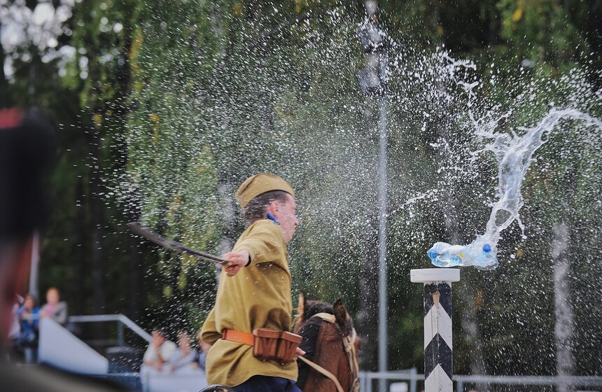 В "Сокольниках" прошел фестиваль "Россия на коне" 21 фото